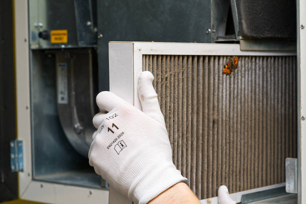 Best Air Duct Cleaning Near Me  in Queensland, MD